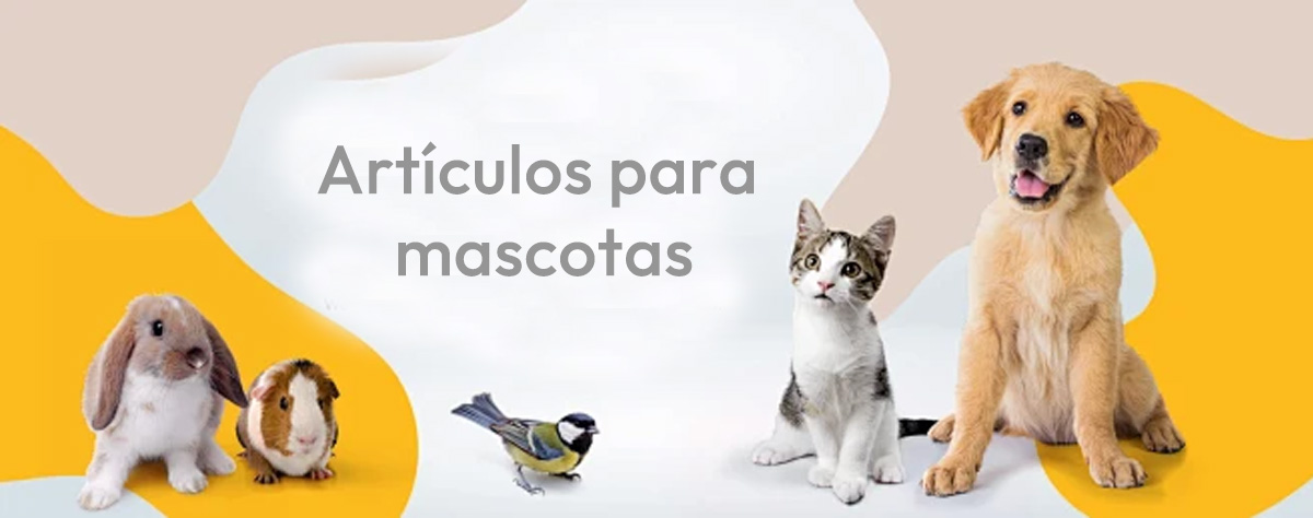 Guía 2025 para Importar Productos para Mascotas desde China