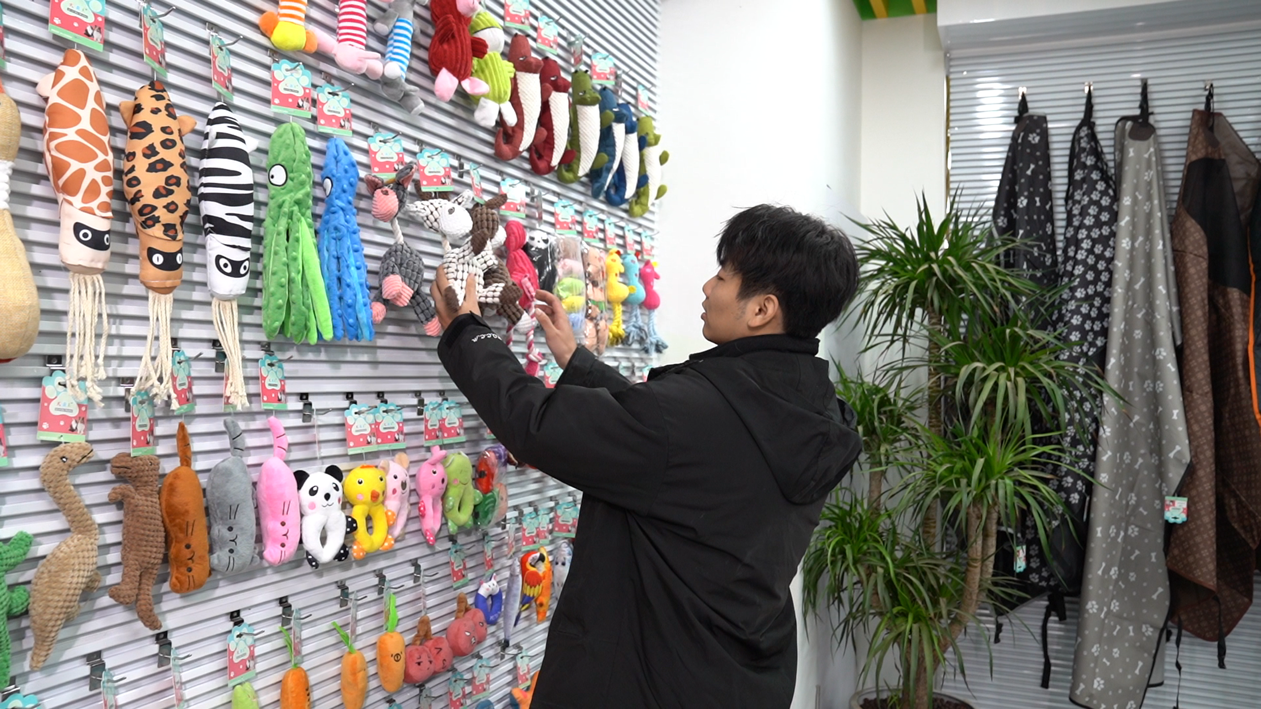 ¿Cómo le hago para traer productos de China?