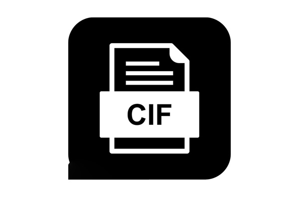 ¿ que significa significar cif aduanas aduana ?