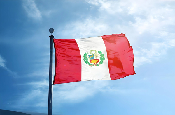 ¿ que se el necesita necesitar ser importadores importador peru ? guia empresas empresa peruanas peruana peruano