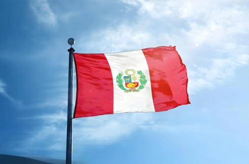 ¿Qué se necesita para ser importador en Perú? Guía para empresas peruanas