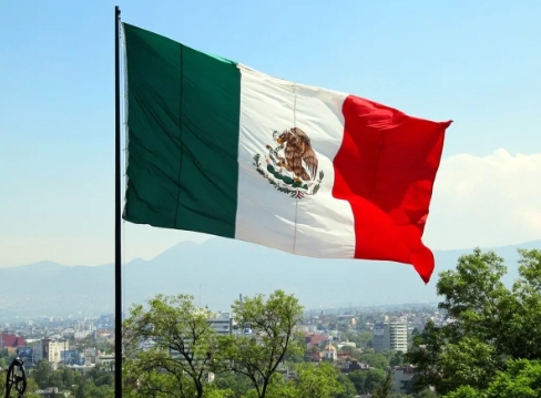 ¿Qué se necesita para convertirse en importador en México? — Guía de importación de China a México