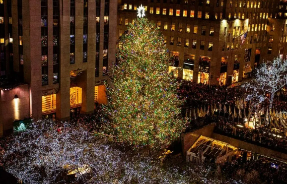 ¿Cómo importar árboles de Navidad desde China? Guía completa