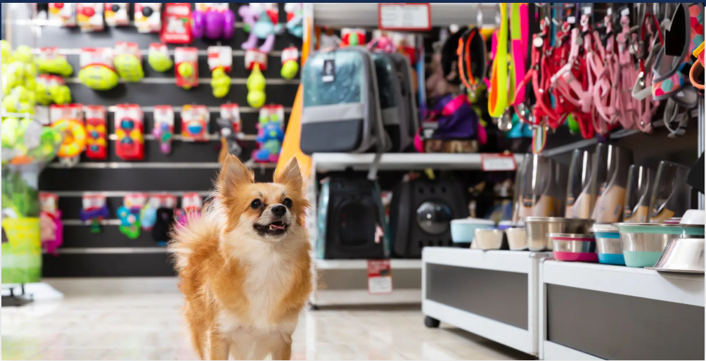 ¿Qué cosas son buenas para revender? Guía completa para elegir productos rentables y empezar un negocio de reventa en 2025