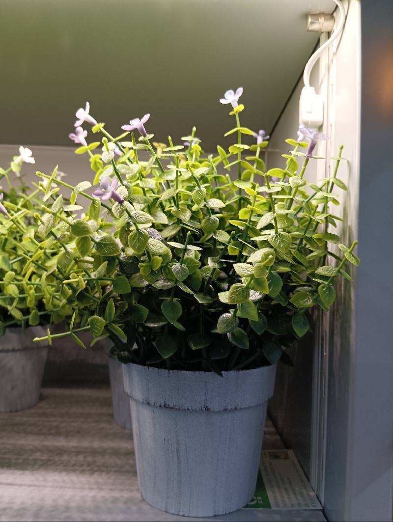 Plantas artificiales25cm,cuatro modelos surtido image 1