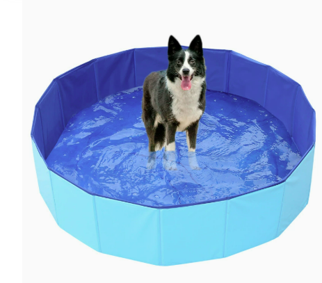 Piscina para perros
