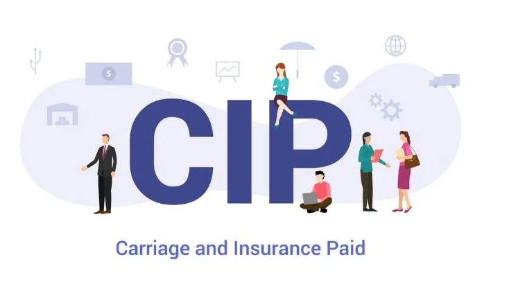 ¿Es CPT lo mismo que CIP? Diferencias claras y fáciles de entender