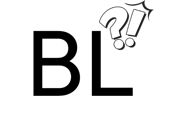 ¿Qué es un BL (Conocimiento de Embarque)? Guía de puntos clave para envíos marítimos (Imprescindible para vendedores internacionales e importadores)