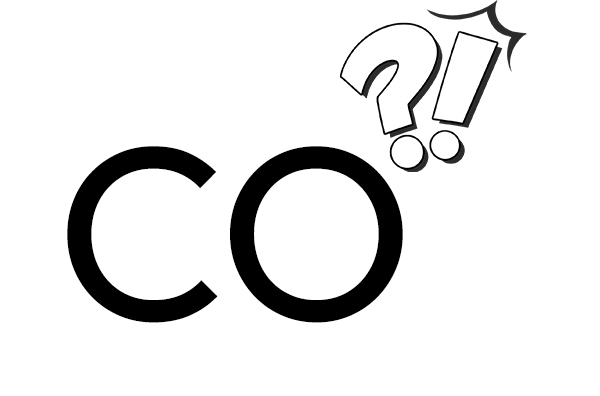 ¿ que es ser el co comercios comercio exteriores exterior ? tipos certificados certificado origens origen y guias guia tramitaciones tramitacion principiant principiantes importaciones importacion