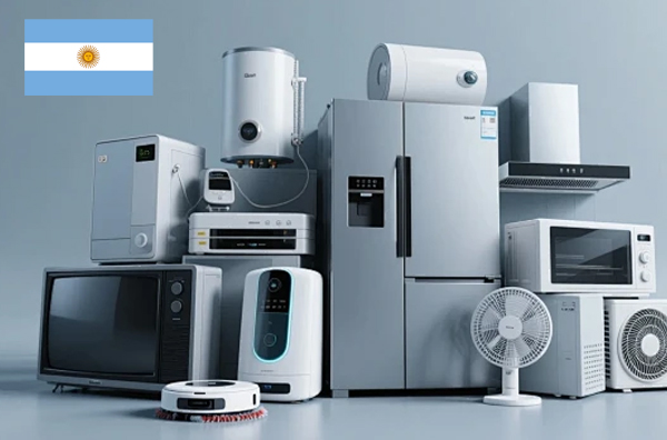 Cómo importar productos desde China a Argentina: requisitos, despachante y certificaciones clave