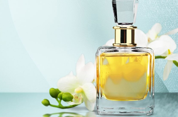 Cómo importar perfumes desde China: Requisitos de transporte y proveedores certificados para Latinoamérica