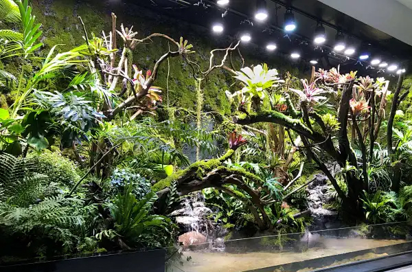 Plantas decorativas artificiales de China: cómo evaluar calidad antes de importar