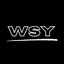 Cómo buscar proveedores fiables en China en WSY.com