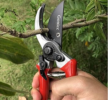 Tijeras de poda: guía completa para importadores y distribuidores en Latinoamérica