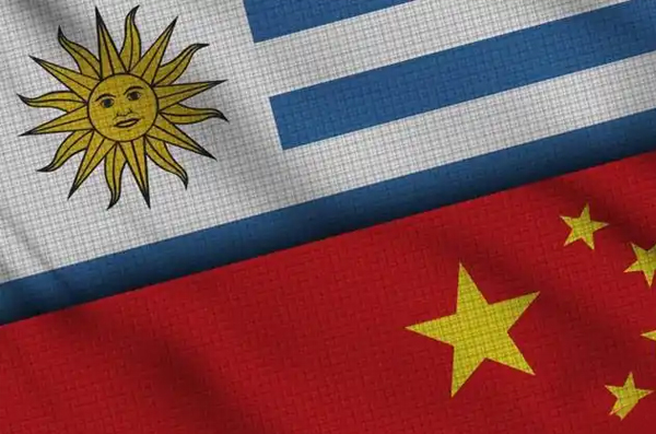 Costos de importación desde China a Uruguay (guía completa 2026 con ejemplos reales y claves para maximizar tu margen)