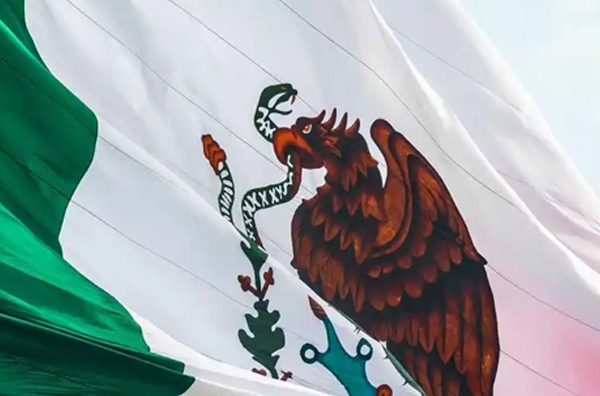 ¿Cuánto cobra la aduana de Japón a México? Guía real sobre impuestos, costos y cómo funciona la importación en 2026