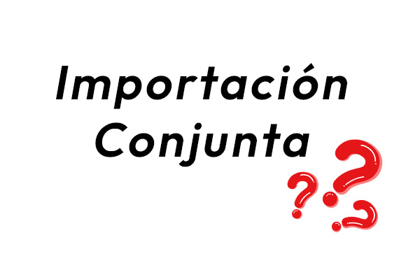¿En qué consiste la importación conjunta desde China? Guía completa para importadores latinoamericanos