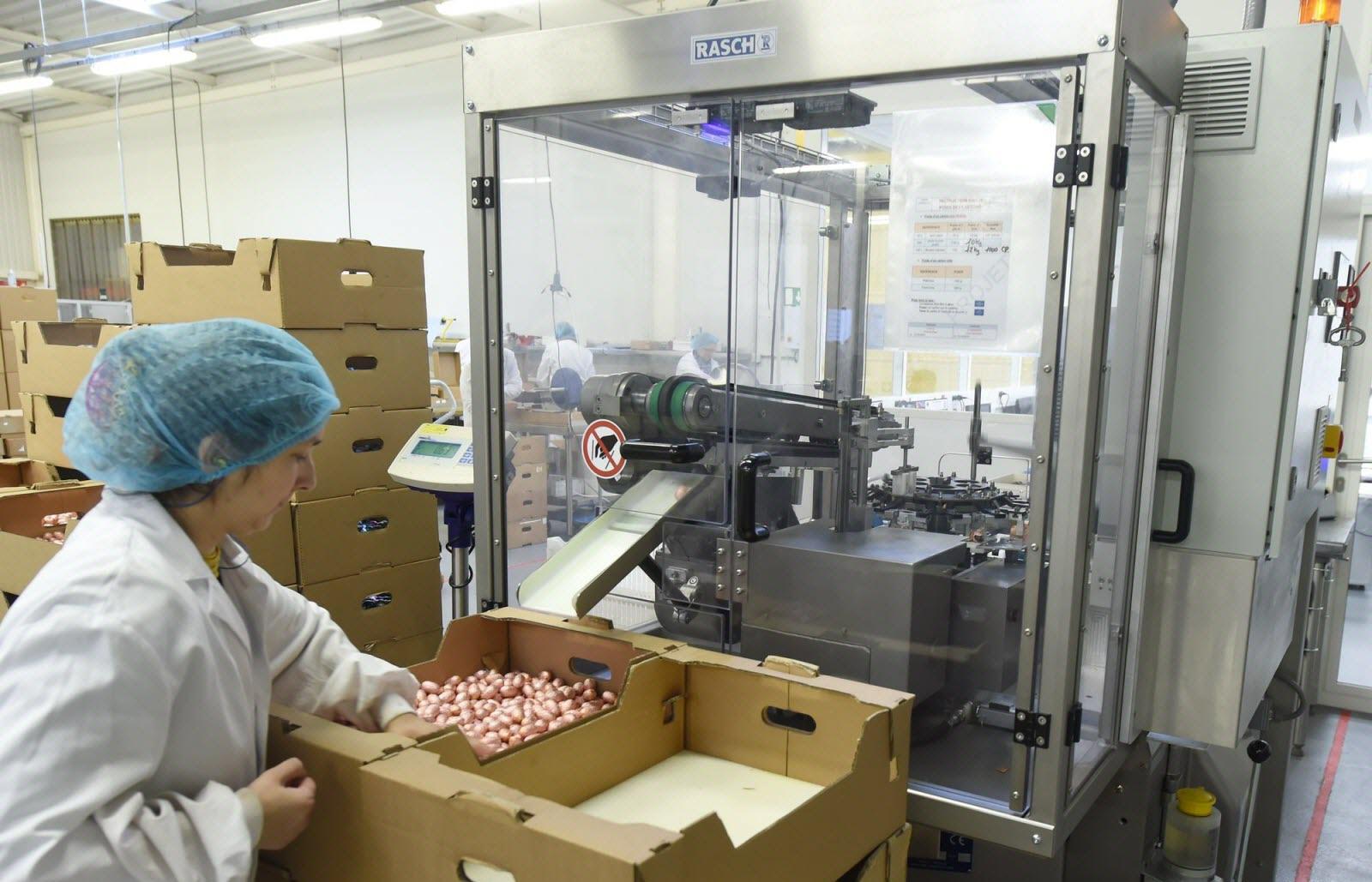 Huevos de Pascua al por mayor: El sello de un proveedor confiable