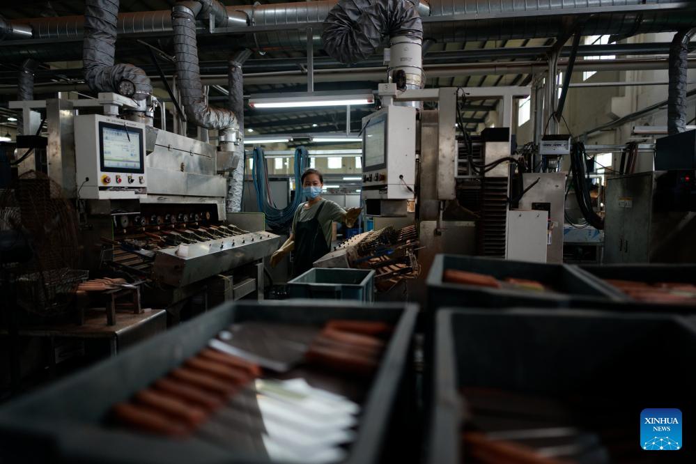 Importar los cuchillos de cocina desde china: Guía de importación 2026