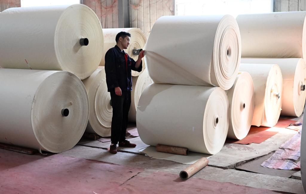 Los proveedores del papel para hornear en China: Guía de importación 2026